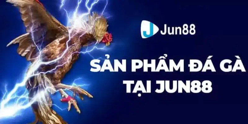 ONE88 Giới thiệu Đá Gà Jun88 Tạo Nên Cơn Địa Chấn Lớn 2024